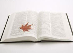 蘑菇视频电脑版争议这么大，反而更想知道真相