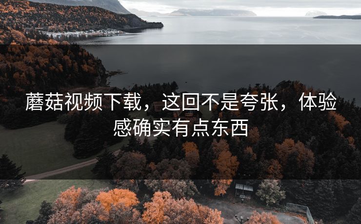 蘑菇视频下载，这回不是夸张，体验感确实有点东西
