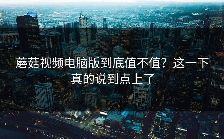 蘑菇视频电脑版到底值不值？这一下真的说到点上了
