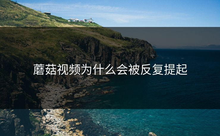 蘑菇视频为什么会被反复提起