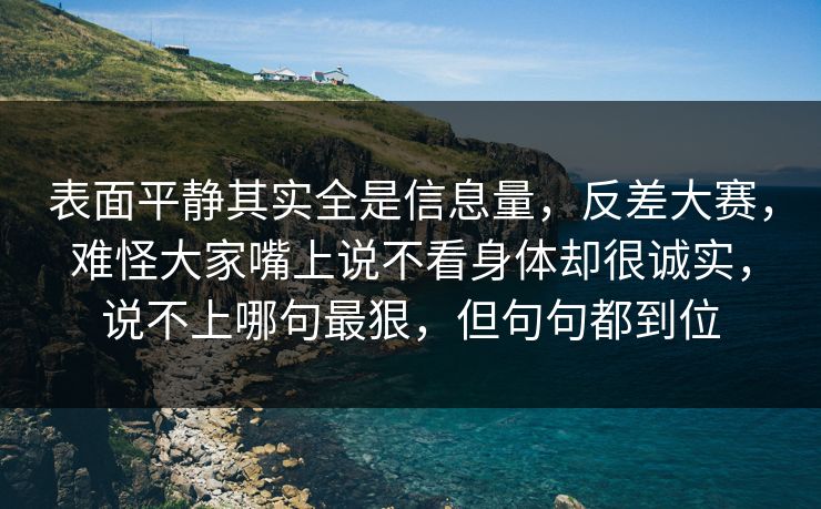 表面平静其实全是信息量，反差大赛，难怪大家嘴上说不看身体却很诚实，说不上哪句最狠，但句句都到位