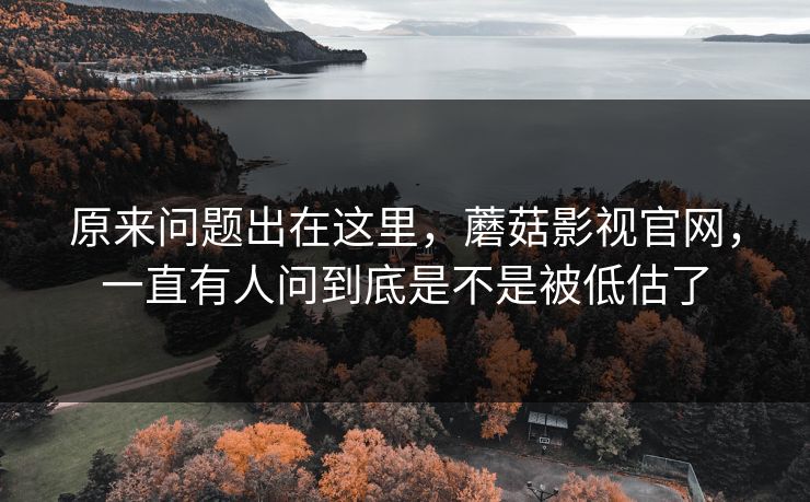 原来问题出在这里，蘑菇影视官网，一直有人问到底是不是被低估了