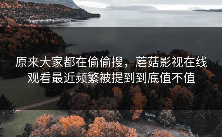 原来大家都在偷偷搜，蘑菇影视在线观看最近频繁被提到到底值不值