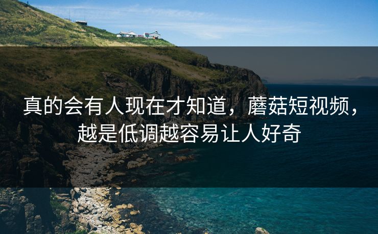 真的会有人现在才知道，蘑菇短视频，越是低调越容易让人好奇