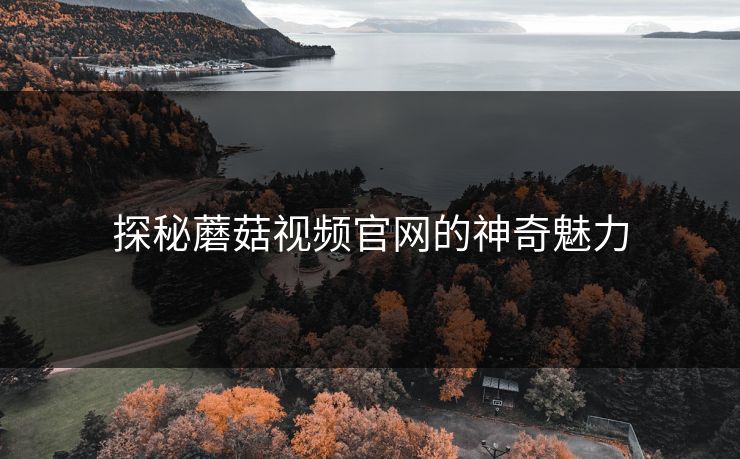 探秘蘑菇视频官网的神奇魅力