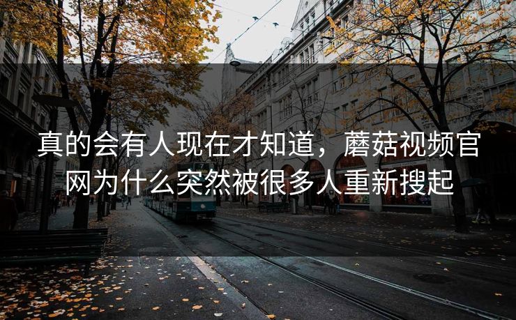 真的会有人现在才知道，蘑菇视频官网为什么突然被很多人重新搜起