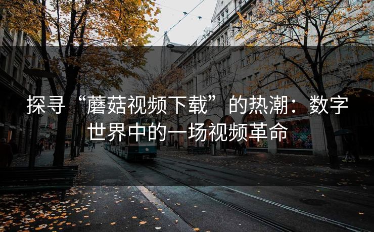 探寻“蘑菇视频下载”的热潮：数字世界中的一场视频革命