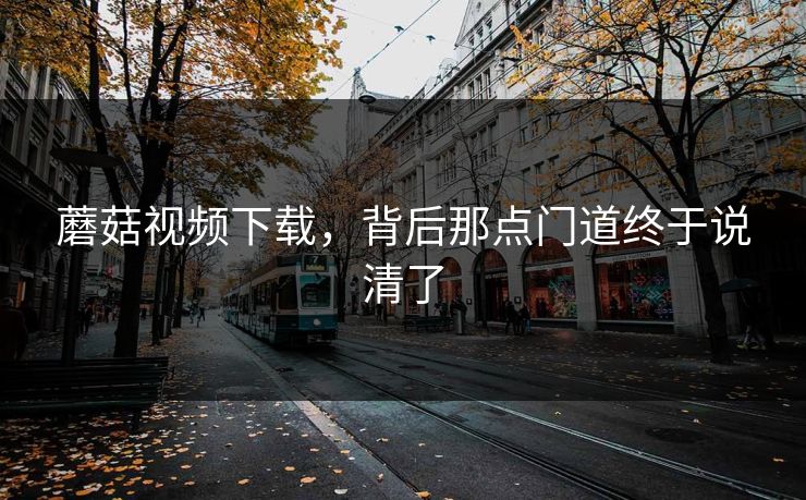 蘑菇视频下载,背后那点门道终于说清了 蘑菇视频下载,背后那点门道终于说清了