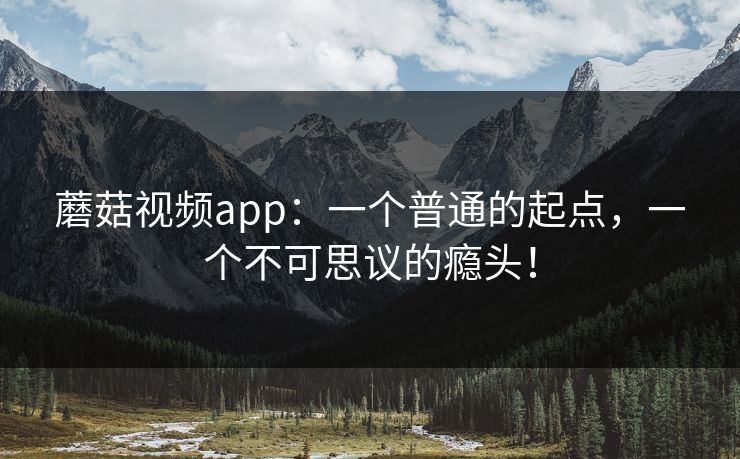蘑菇视频app:一个普通的起点,一个不可思议的瘾头! 蘑菇视频app:一个普通的起点,一个不可思议的瘾头!